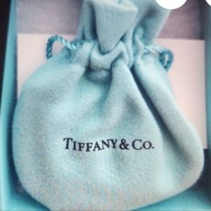 Rare Tiffany & Co horse shoe necklace